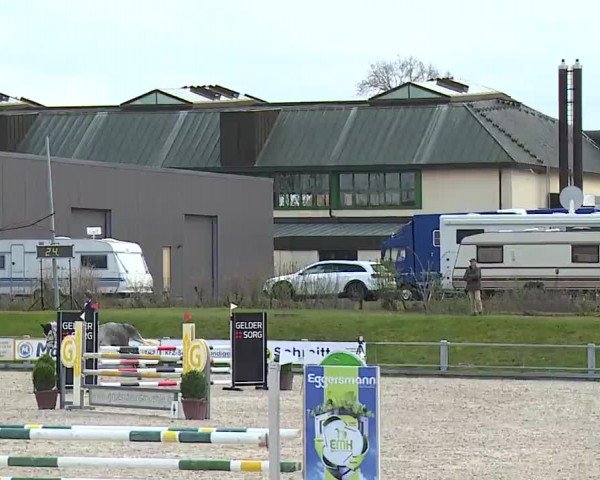 Reitturnier Grafenrheinfeld/Ufr. 2023