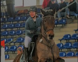 jumper Gloria 540 (German Sport Horse, 2008, from Lefevre)