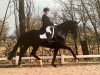 broodmare Donnalucata (Hanoverian, 2014, from Dressage Royal)