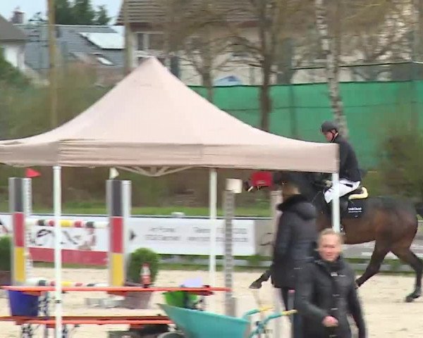 Reitturnier Grafenrheinfeld/Ufr. 2023