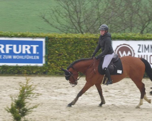 Reitturnier Lindlar-Süttenbach 2023