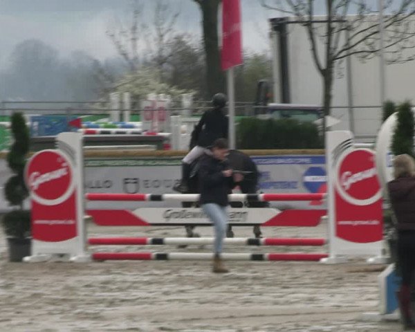 Reitturnier Werne-Lenklar 2023