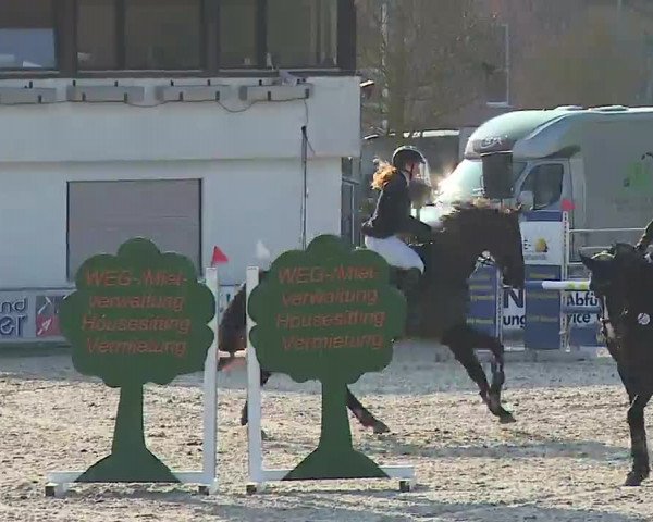 Reitturnier Grafenrheinfeld/Ufr. 2023