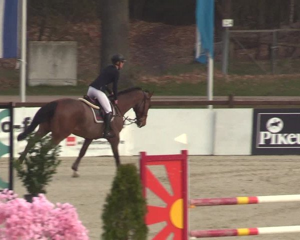 Reitturnier Westergellersen 2023