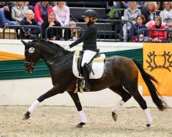 dressage horse Rihlana (Trakehner, 2007, from Shavalou)