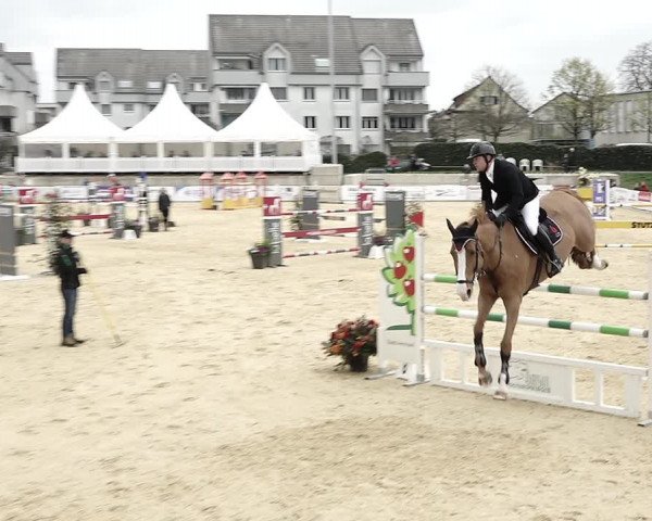 Reitturnier Amriswil 2023