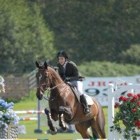 jumper Galabea 3 (Hanoverian, 2000, from Gragenit)