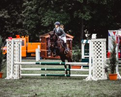 jumper Pony 27 (Nederlands Welsh Ridepony, 2005, from Beukenhof's Jordy)