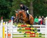 broodmare Corinna 122 (German Sport Horse, 2013, from Como)