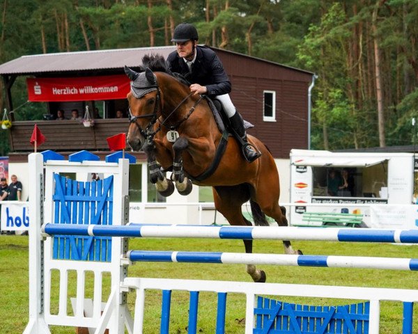 broodmare Celouisia 2 (German Sport Horse, 2012, from Cellestial)