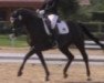 dressage horse Amicelli Nera (Westphalian, 2014, from All At Once)