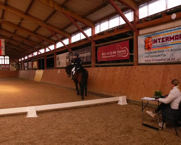 Reitturnier Elisenau 2023