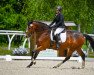 dressage horse Heaven V (Holsteiner, 2015, from Casiro I)