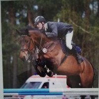 jumper Bertha 7 (German Sport Horse, 2003, from Boritas)