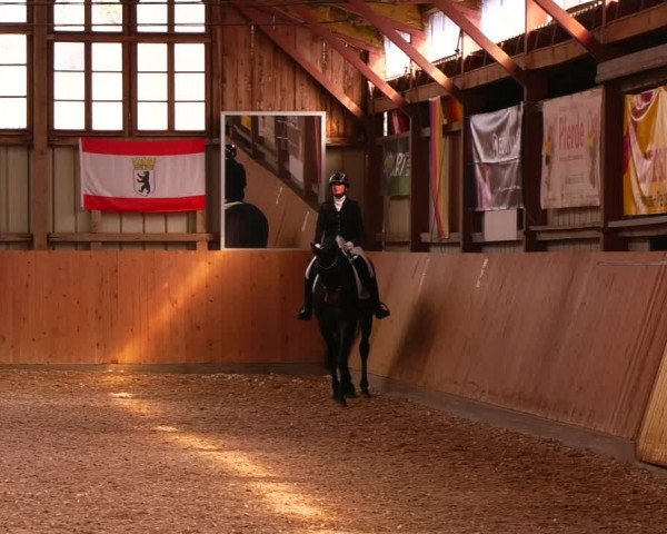 Reitturnier Elisenau 2023