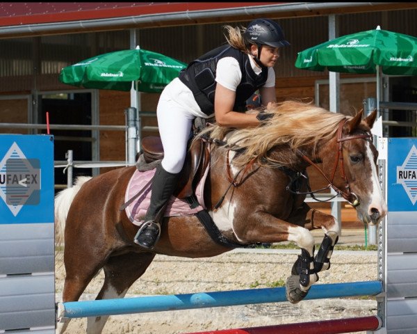 Springpferd Aranka R Fan Spûkersleane (Nederlands Rijpaarden en Pony, 2007)