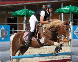 jumper Aranka R Fan Spûkersleane (Nederlands Rijpaarden en Pony, 2007)