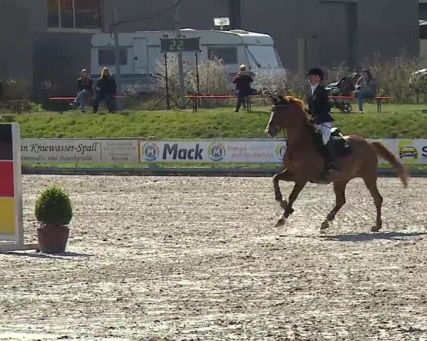 Reitturnier Grafenrheinfeld/Ufr. 2023