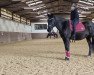 dressage horse Leeonardi (Trakehner, 2008, from Gribaldi)