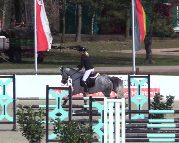 Reitturnier Westergellersen 2023