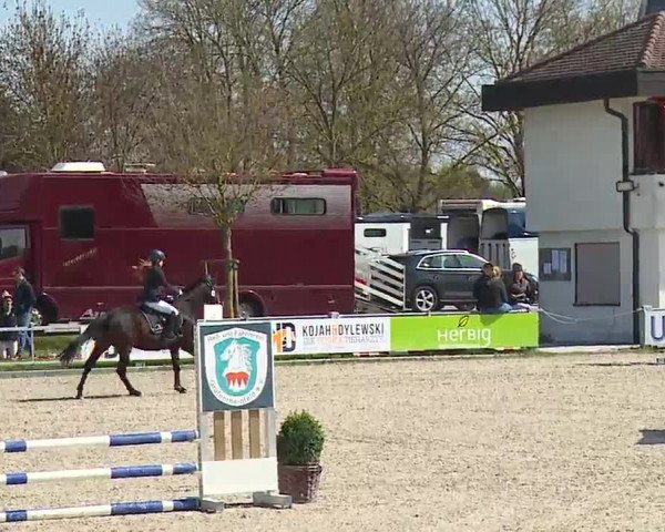 Reitturnier Grafenrheinfeld/Ufr. 2023