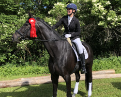 dressage horse Fara Diva 8 (Bavarian, 2013, from Hot Spirit)