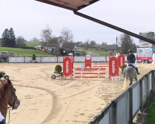 Reitturnier Wädenswil 2023