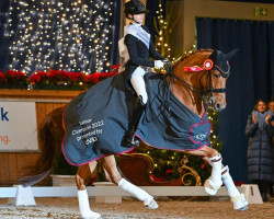 dressage horse Exclusiv (Hanoverian, 2011, from Edward 28)