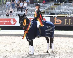 dressage horse Pav Nachtschwaermer (German Riding Pony, 2015, from Nemax)