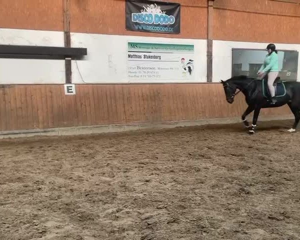 Video of First April GV