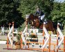 jumper Fuzzy T (German Riding Pony, 2014, from For Next Generation)