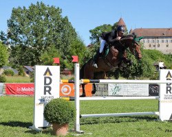 broodmare Coriana Von Gurbrue (Swiss Warmblood, 2010, from Coriano)