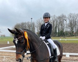 dressage horse Carletta H (German Riding Pony, 2009, from Halifax)