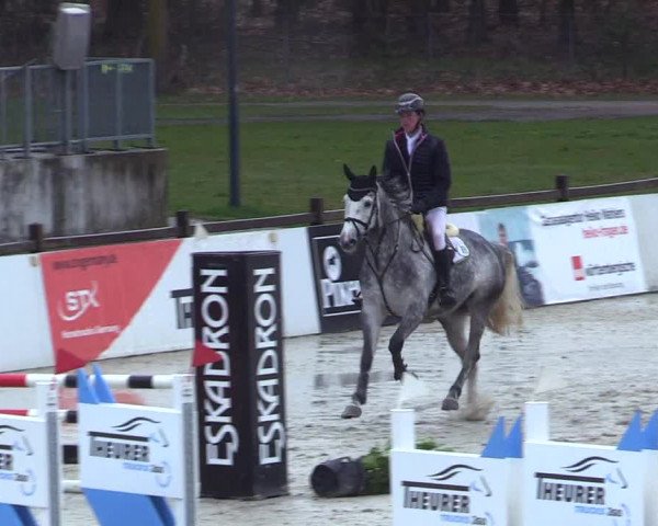Reitturnier Westergellersen 2023