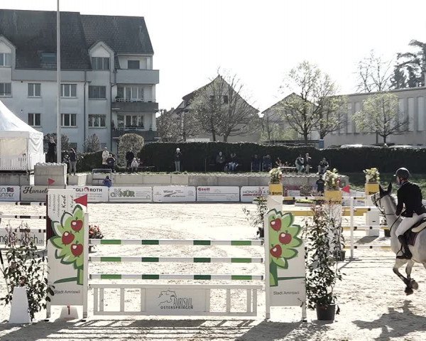Reitturnier Amriswil 2023