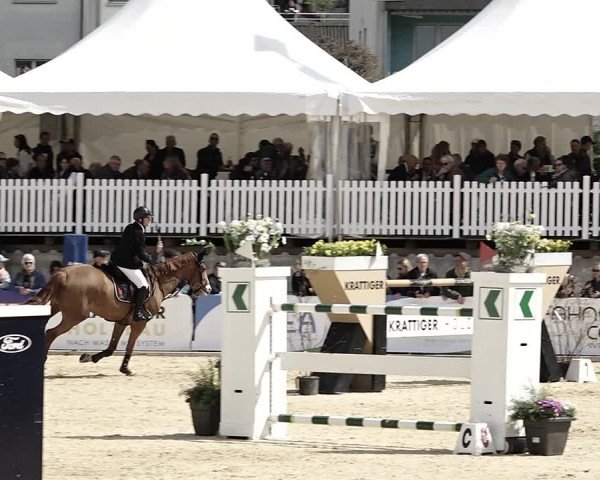 Reitturnier Amriswil 2023