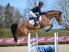 jumper Racasko Wh (Belgian Warmblood, 2017, from Comme il Faut)