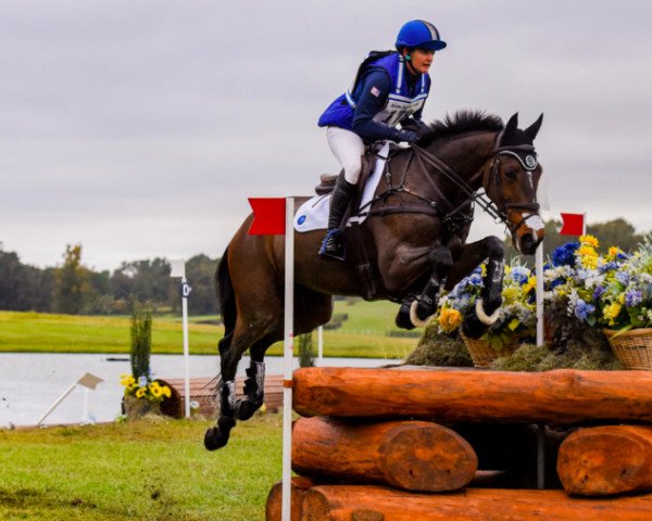 jumper Monbeg Senna (Irish Sport Horse, 2010, from Zapatero VDL)