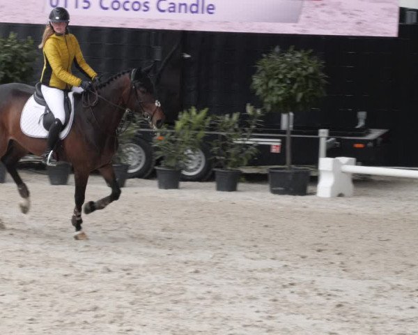Reitturnier Aachen 2023