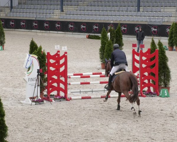 Reitturnier Aachen 2023