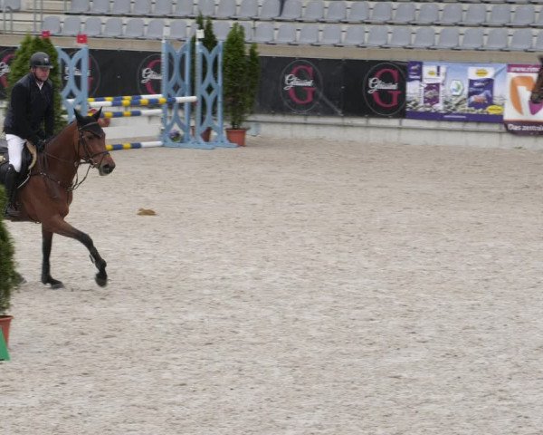 Reitturnier Aachen 2023
