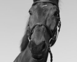 horse Allegra 90 (German Warmblood, 1996, from Athenago P)