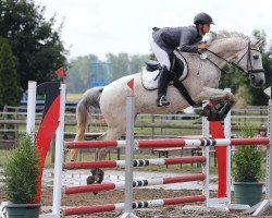 jumper Bolero 309 (German Riding Pony, 2000, from Bazar ShA)