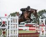 jumper Lambada 253 (German Sport Horse, 2011, from Lafitte)