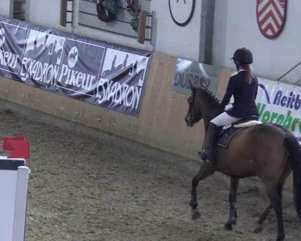 Reitturnier Borgholzhausen-Westbarthausen 2021