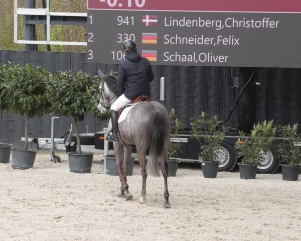 Reitturnier Aachen 2023