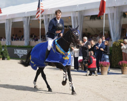 jumper Abc Saving Grace (Irish Sport Horse, 2016, from Kannan)