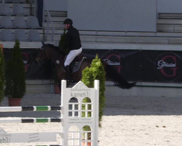 Reitturnier Aachen 2023