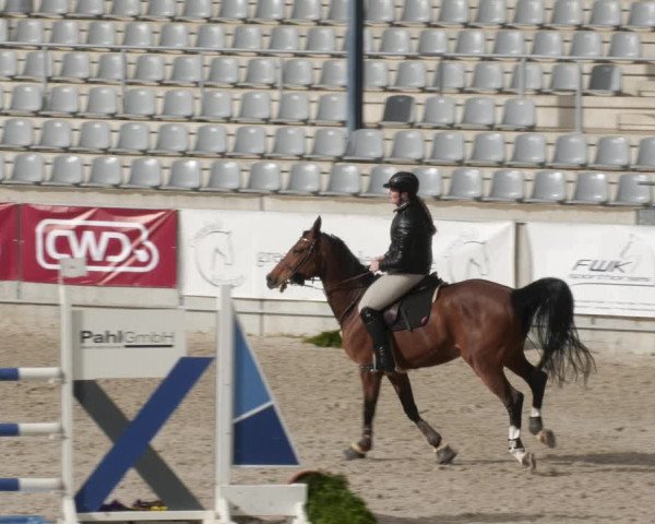 Reitturnier Aachen 2023