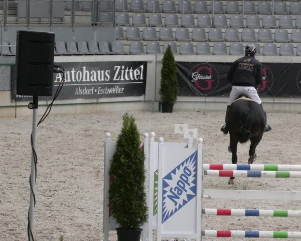 Reitturnier Aachen 2023